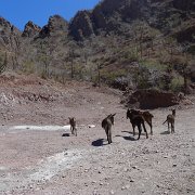 Baja2011 889 : Baja2011